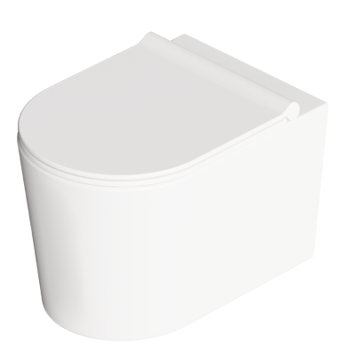 Pristatomas klozetas Alice Ceramica FORM RIMLESS 9