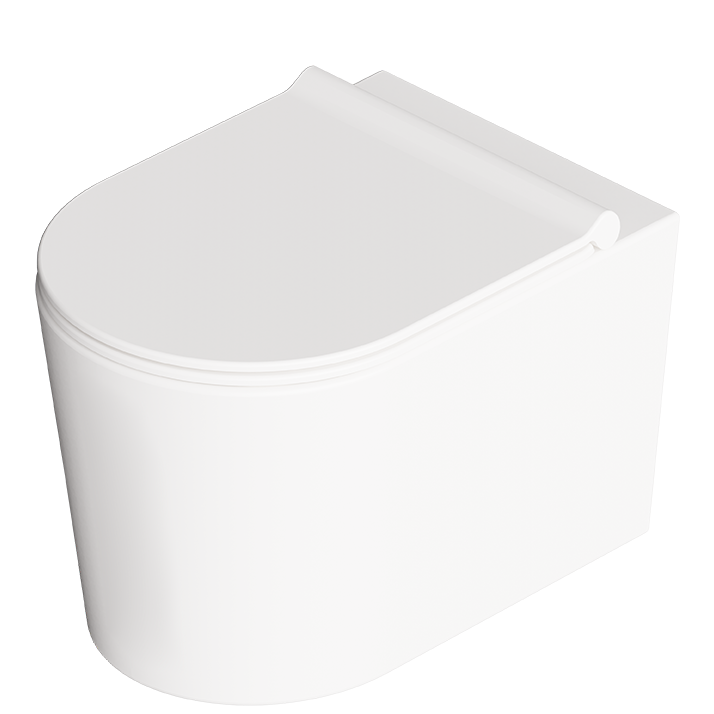 Pristatomas klozetas Alice Ceramica FORM RIMLESS 9
