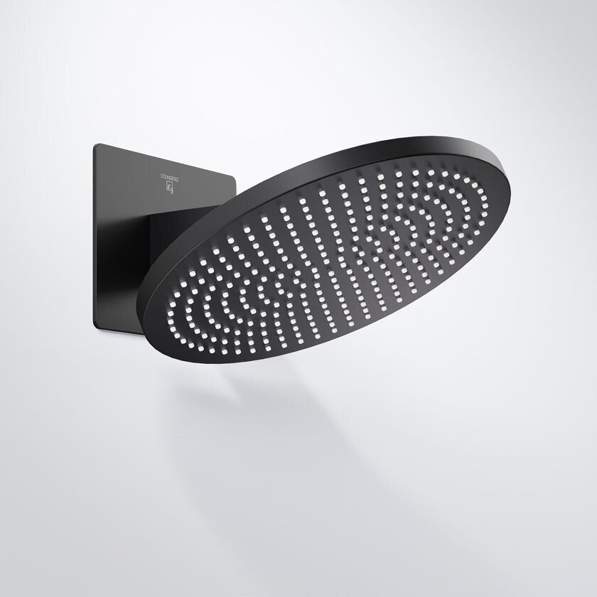 Steinberg 390 Sieninė rain dušo galva 250mm 13