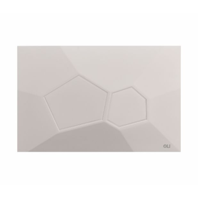 Oli Voronoi vandens nuleidimo mygtukas 13