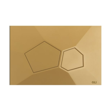 Oli Voronoi vandens nuleidimo mygtukas 7 Oli Voronoi vandens nuleidimo mygtukas 7