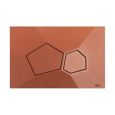 Oli Voronoi vandens nuleidimo mygtukas 11 Oli Voronoi vandens nuleidimo mygtukas 11