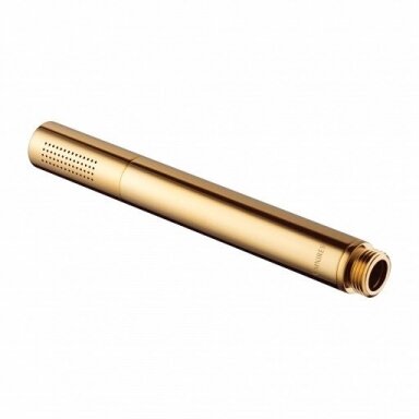 Aukso spalvos dušo galvutė Omnires MICROPHONE