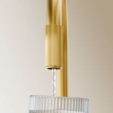 Braižyto aukso spalvos maišytuvas virtuvės plautuvei su jungtimi vandens filtravimo sistemai Omnires Switch