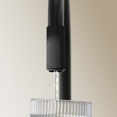 Juodos matinės spalvos maišytuvas virtuvės plautuvei su filtruoto vandens sistema Omnires Switch 1