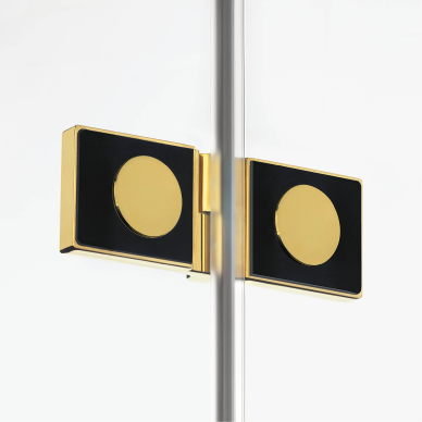 Dušo kabina New Trendy Avexa Gold Brushed 2D, pasirenkamas dydis 5