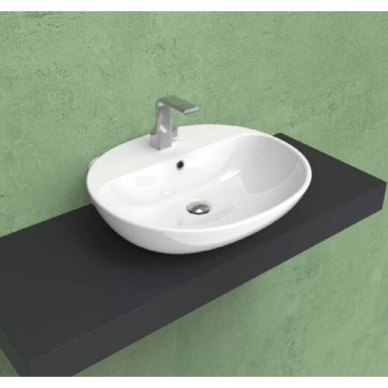 Flaminia Nuda 600x540xH170 pastatomas arba pakabinamas praustuvas, spalvų pasirinkimas 1