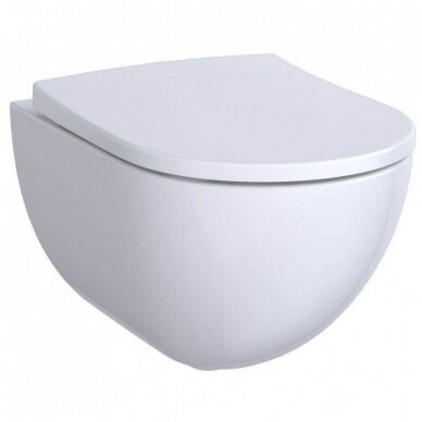 Geberit Acanto WC puodas su lėtai užsidarančiu ir greito nuėmimo dangčiu, Duofixbasic potinkiniu rėmu bei baltos spalvos Delta20 vandens nuleidimo mygtuku 2