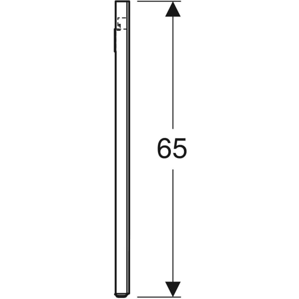 Geberit Option veidrodis su apšvietimu, stačiakampio formos, apšvietimas veidrodžio šonuose, 120x65cm 2 Geberit Option veidrodis su apšvietimu, stačiakampio formos, apšvietimas veidrodžio šonuose, 120x65cm 2