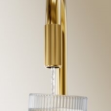 Aukso spalvos maišytuvas virtuvės plautuvei su jungtimi vandens filtravimo sistemai Omnires Switch