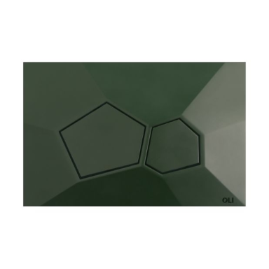 Oli Voronoi vandens nuleidimo mygtukas