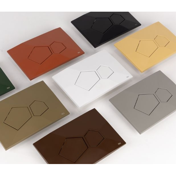 Oli Voronoi vandens nuleidimo mygtukas 4