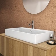Praustuvas Ideal Standard Extra, matmenys: 1000x450x125mm, montuojamas ant stalviršio (šlifuota apačia) arba ant sienos 1