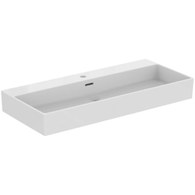 Praustuvas Ideal Standard Extra, matmenys: 1000x450x125mm, montuojamas ant stalviršio (šlifuota apačia) arba ant sienos Praustuvas Ideal Standard Extra, matmenys: 1000x450x125mm, montuojamas ant stalviršio (šlifuota apačia) arba ant sienos