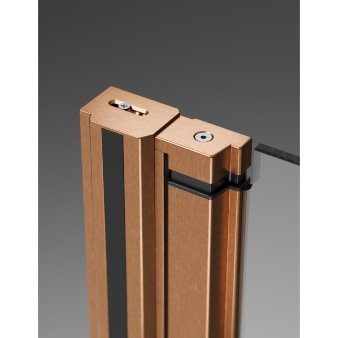 Radaway Nes Brushed Copper Walk-in KDD II dušo sienelė 1