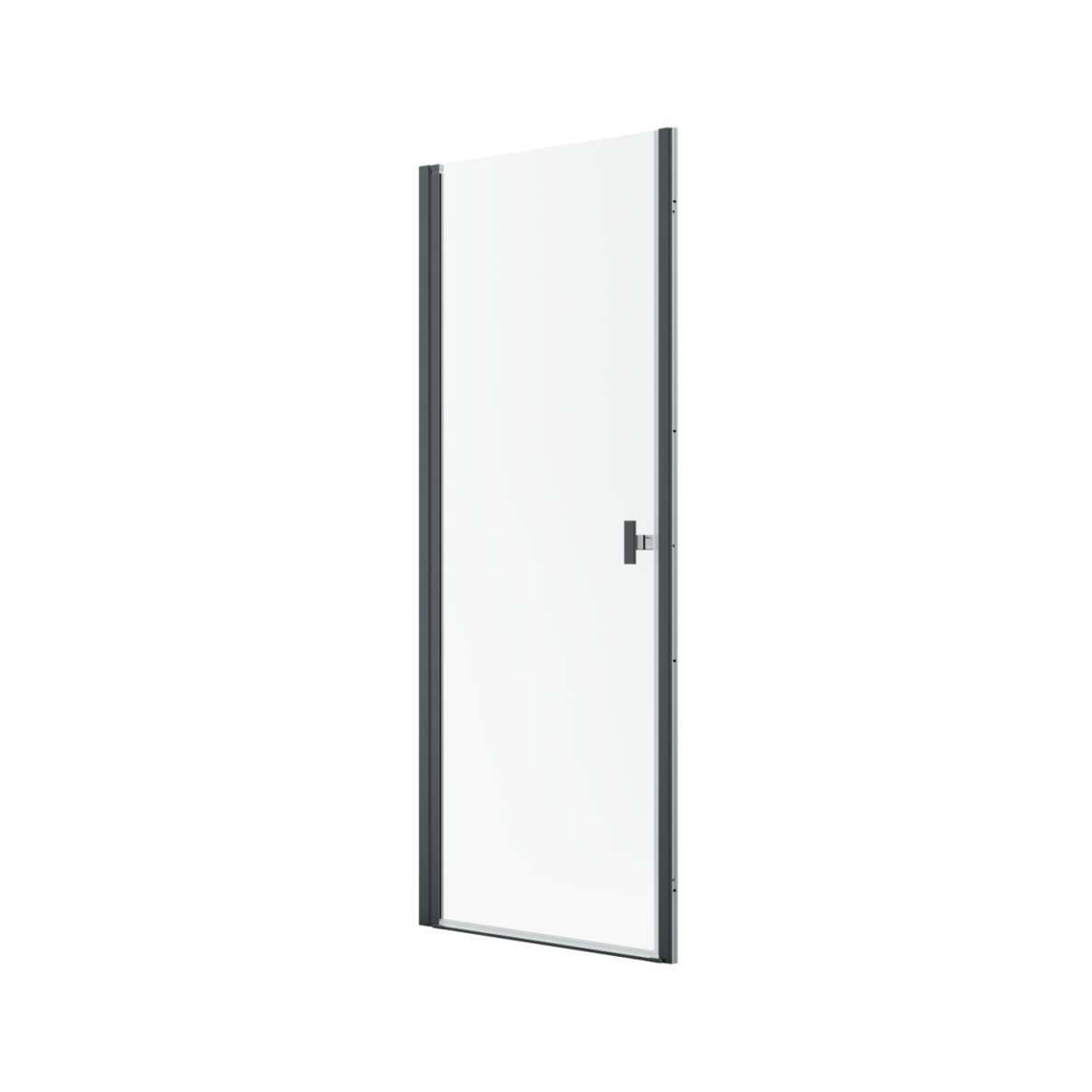 Radaway Nes Brushed GunMetal DWJ I dušo durys 1