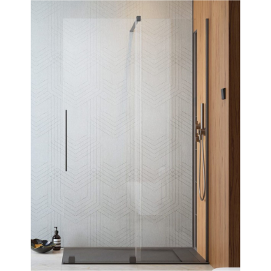 Radaway Furo Brushed GunMetal Walk-in dušo sienelė, skaidrus stiklas