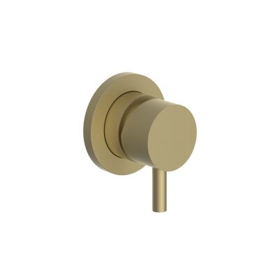 Soft brass spalvos potinkinis vieno taško maišytuvas Teorema Forty5