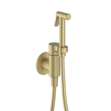 Soft brass spalvos potinkinis bidette dušelio komplektas Teorema Forty5