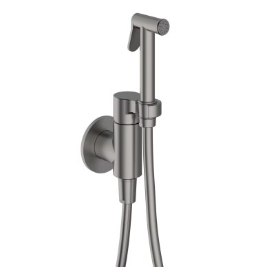 Brushed nickel spalvos potinkinis bidette dušelio komplektas Teorema Brushed nickel spalvos potinkinis bidette dušelio komplektas Teorema