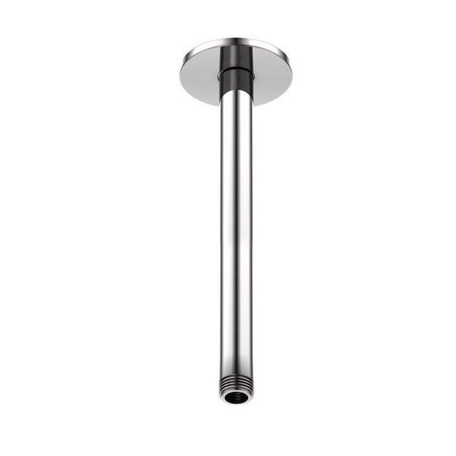 Steinberg 100 stacionarios dušo galvos laikilis 240mm