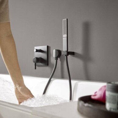 Potinkinis maišytuvas Hansgrohe Finoris 1