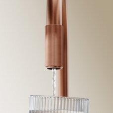 Braižyto vario spalvos maišytuvas virtuvės plautuvei su jungtimi vandens filtravimo sistemai Omnires Switch