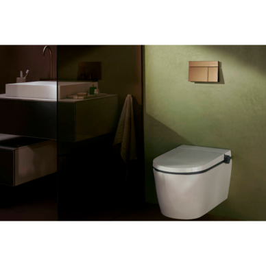 Vandens nuleidimo mygtukas Hansgrohe iFrame Element E 3 Vandens nuleidimo mygtukas Hansgrohe iFrame Element E 3