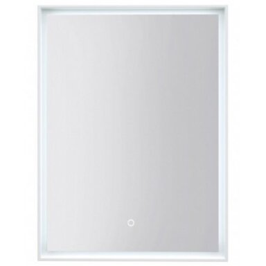 Veidrodis su rėmeliu ir perimetriniu LED apšvietimu Kamė Lotus 60x80cm
