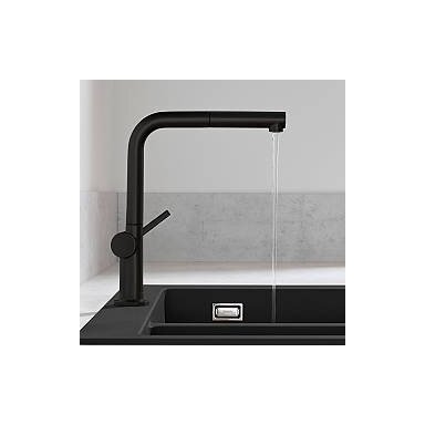 Virtuvinis maišytuvas Hansgrohe Talis M54 Virtuvinis maišytuvas Hansgrohe Talis M54